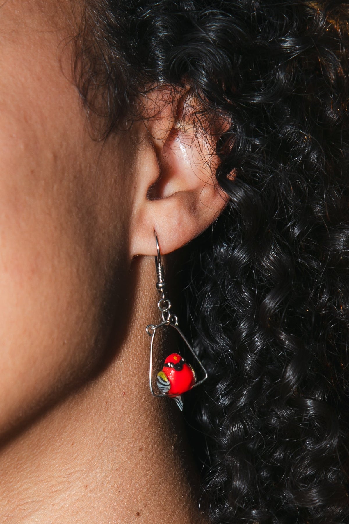 LFD-SHARED Boucle Cardinal 7