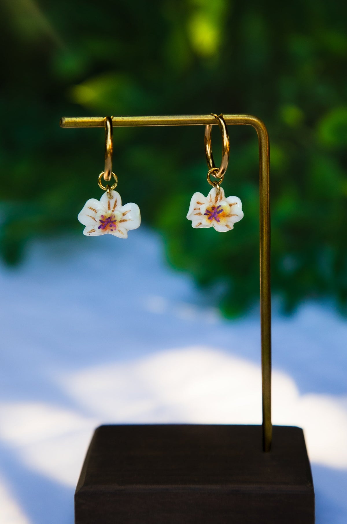 Orchidée